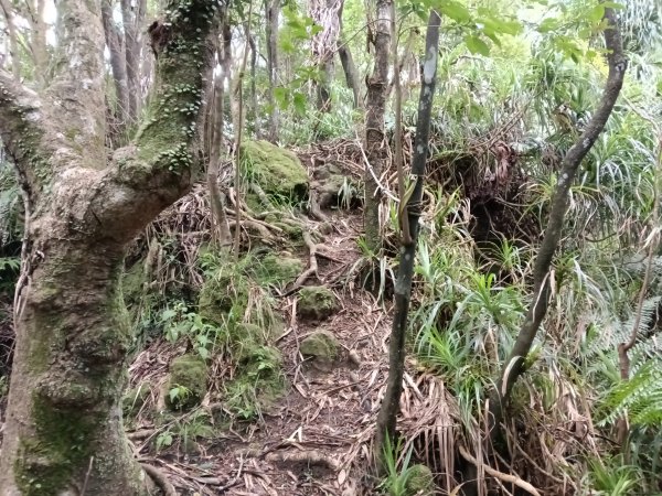 平溪區平溪子山遇雷雨O型2850132