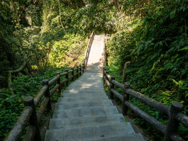 三民蝙輻洞2802485