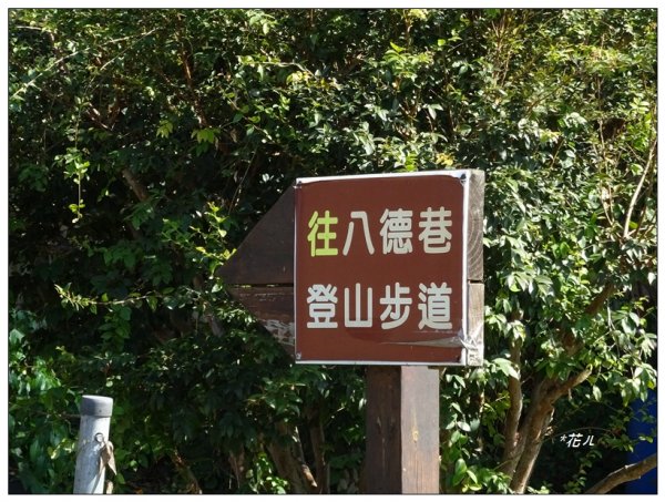 八德巷登山步道(台中/霧峰)2368080