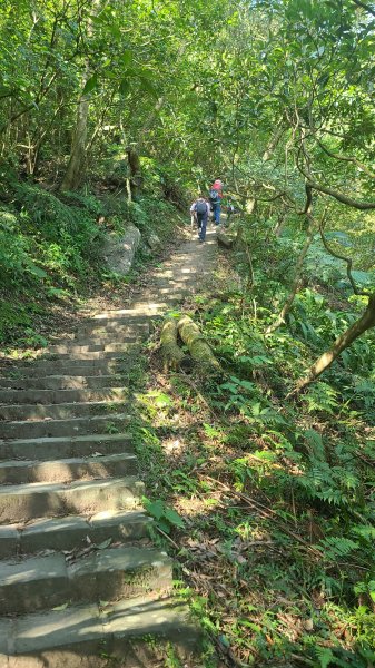 2025-0130溪和宮-大崎頭步道-鵝尾山-平溪步道-鵝尾山水田-42巷-溪山百年古圳-平菁步道2701856