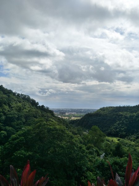 聖母登山步道1788462