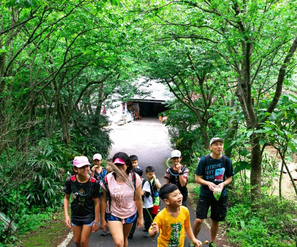 淡水天元宮步行到竹子湖，綠意盎然的古道路徑。一切都是為了吃飯。1347612