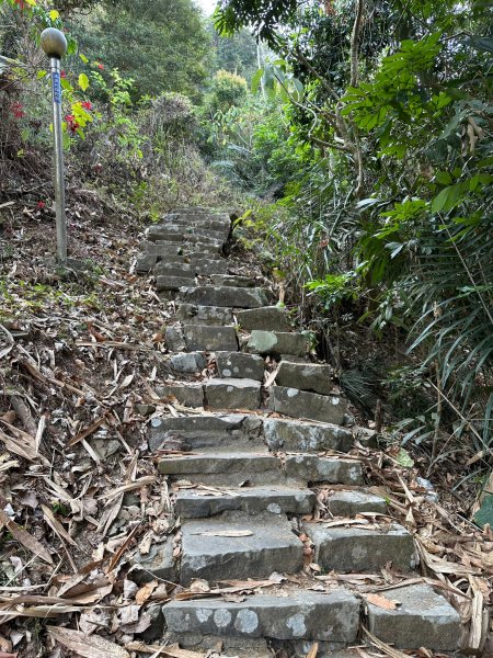 紫竹寺禮佛健走到刣牛湖山2105942