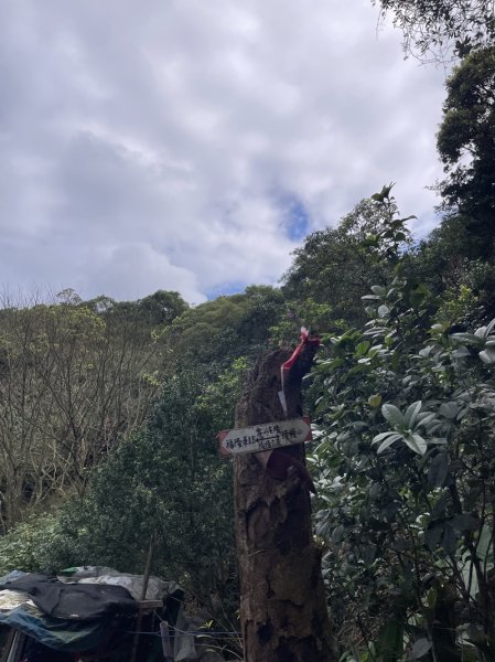 雪山尾稜北段2728633