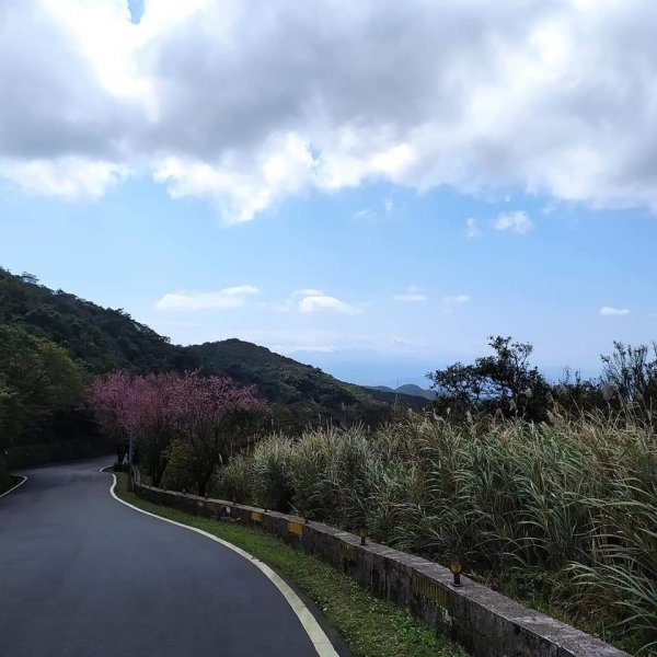 臺北大縱走第四段1293137