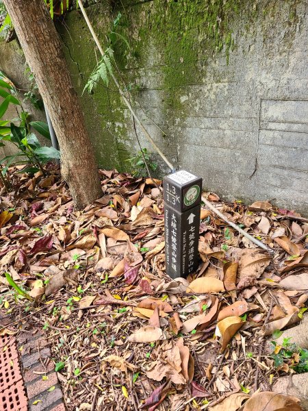 大坑6號上+8號探路+7號下2771424