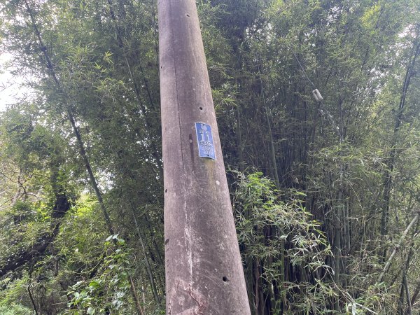 [皮皮獅探險隊-04/10] 2025_0706 三段崎古道2831747