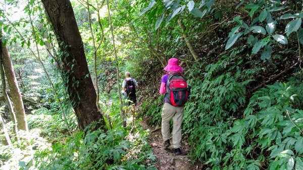 荷蘭古道,北五指山,瑪礁古道1814471