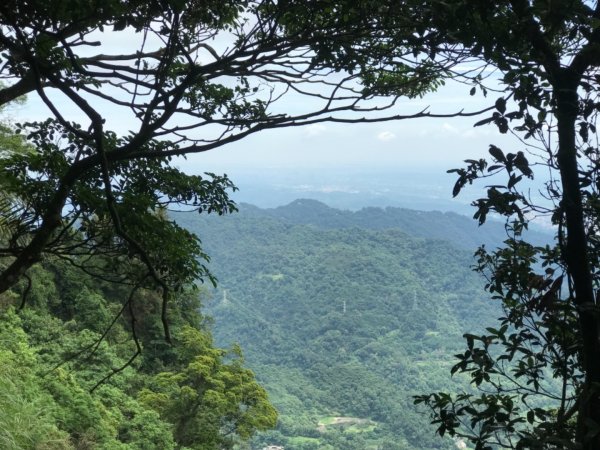 新竹五指山599744