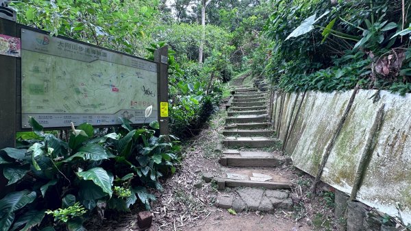 大棟山系第一段、第二段一起走2857250