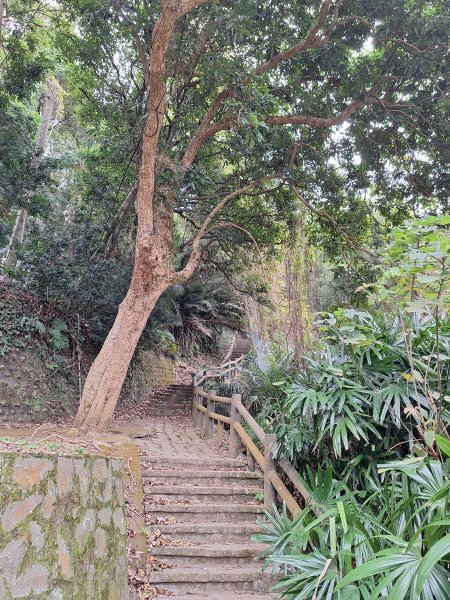 飛龍步道(崇聖亭起登)202401222696326