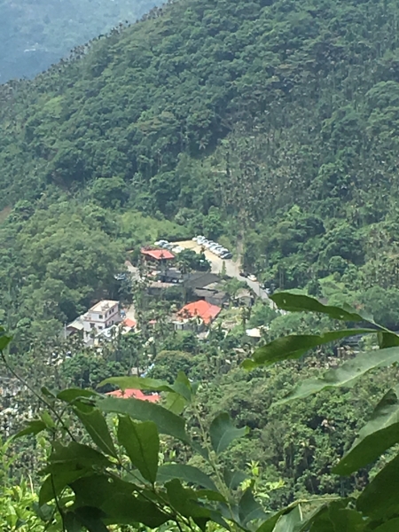 與森林小火車相依的獨立山步道56911