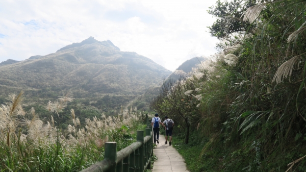 CP值超高的茶壺山步道74217