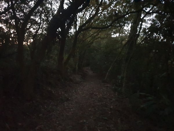 飛沙17連峰2701038