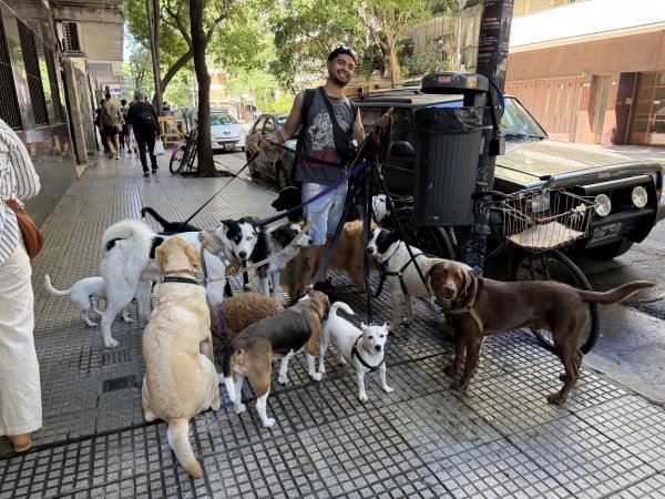 [紐約馬之行-54] 2025_1113~14 義大利廣場2953506