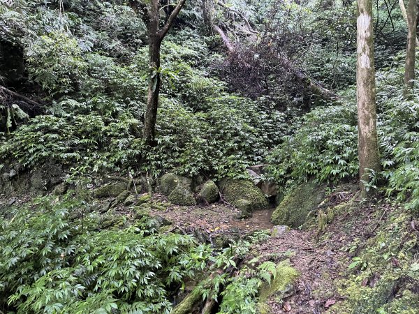 [淡蘭古道] 2025_0802 南路第四段2850828