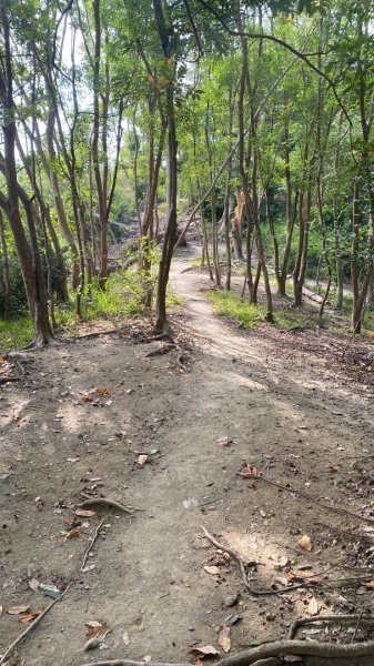 尚書林山步道(鳳凰山)2730900