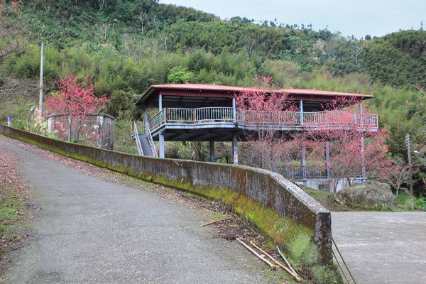 馬那邦山(珠湖線來回)375006