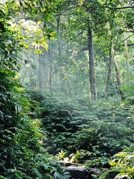 (二格山系)筆架連峰-2025微笑山線大縱走尋寶集章任務2866358