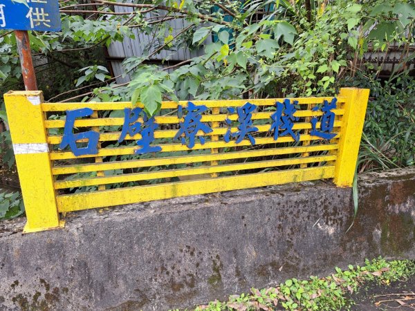 2026微笑山線望月亭桐花段