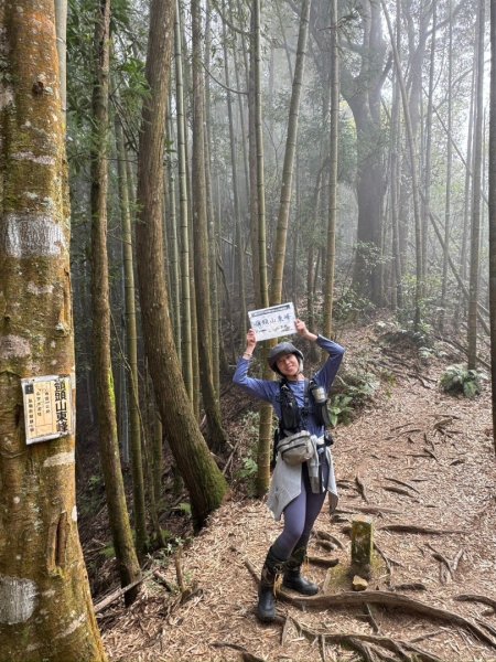 留龍頭-嶺頭山-金柑樹山-忘憂森林（2025必去）2720367