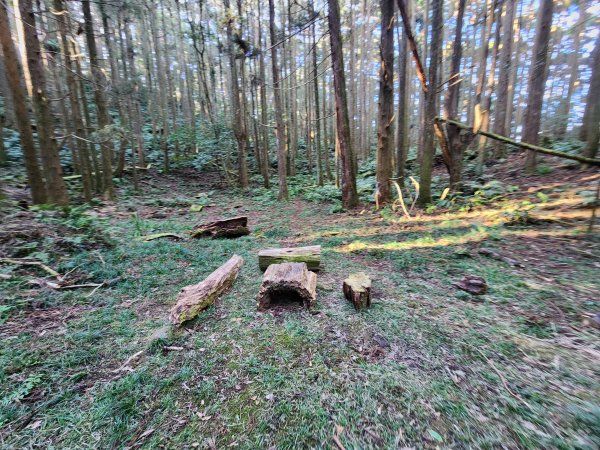 20260118騰龍山加里山O型2997509