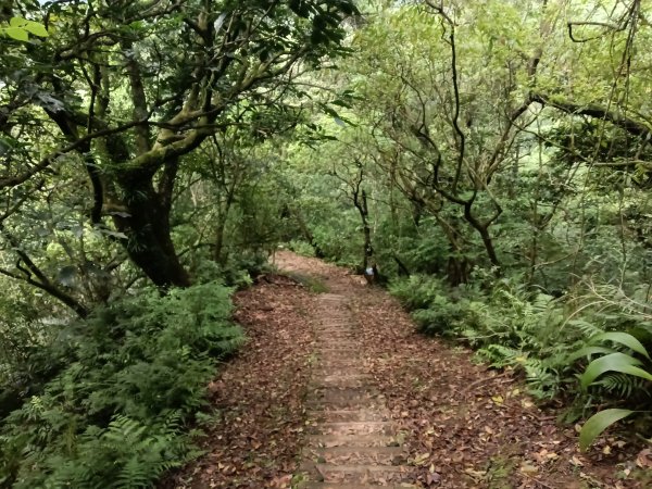 平溪區三功大厝+番子坑山+千階嶺步道O型2781194