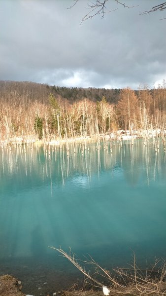 日本北海道青池2759842