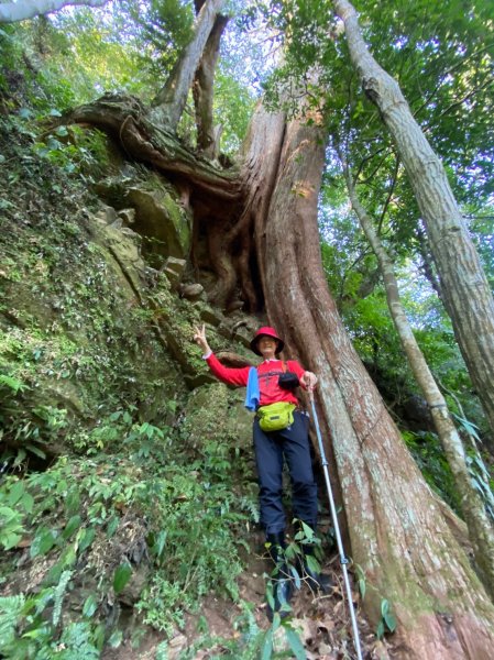 雙鳥縱走+那結山1312832