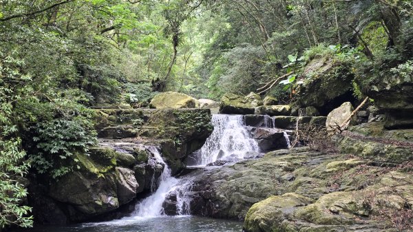 解鎖山頂鳥百山百鳥滿月園任務，滿月圓森林遊樂區是台北近郊瀑布最多的森林遊樂區，夏季首選，涼爽舒服2866668