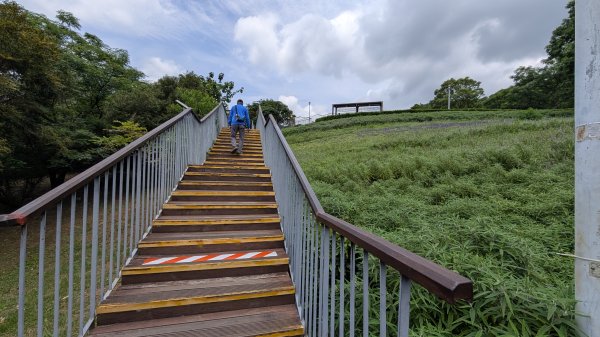 115.05.03小牛埔步道+南瓜隧道之旅3052209