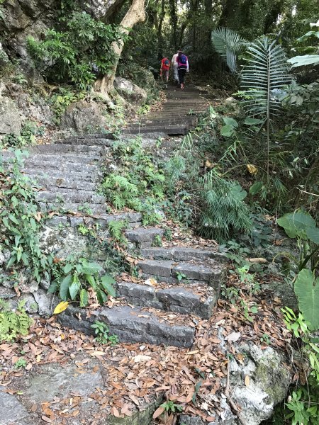 碧雲火泉步道990230