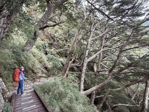 玉山主峰 2025/09/26~272915390