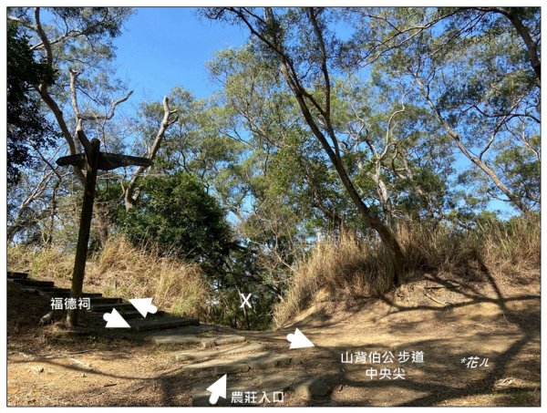 中央尖、山背伯公步道O型路線2708770