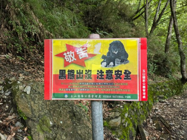 觀高山屋／龍貓公車／八通關山／八通關山西峰2927363