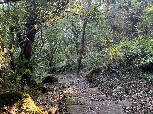 [走遍陽明山]2023_0910_紗帽山步道2280385