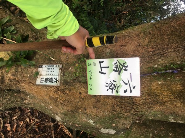 六寮崙山、雞罩山、白雞山8字走2371095