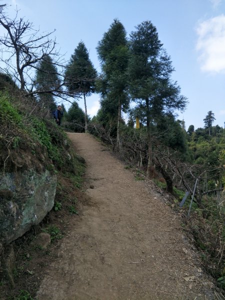 小百岳&百大步道：馬那邦山1254538