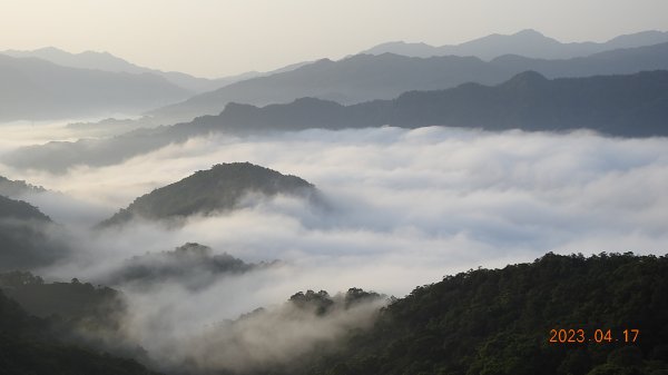 [縮時攝影雲山水] 石碇十三股山/小格頭日出雲海+賞孤挺花&桐花 4/17