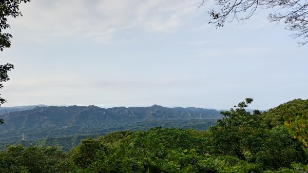 鳶山2860989
