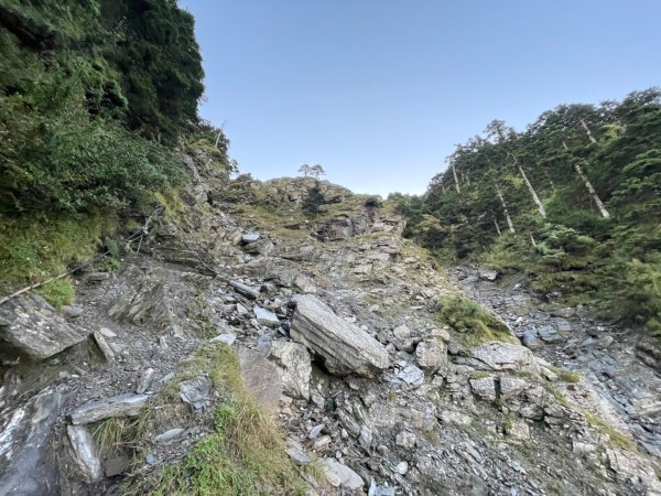 《奇萊北峰 3607m》 2024/10/102639707