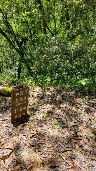 20250414八通關越嶺道 單攻東段登山口至瓦拉米2761984