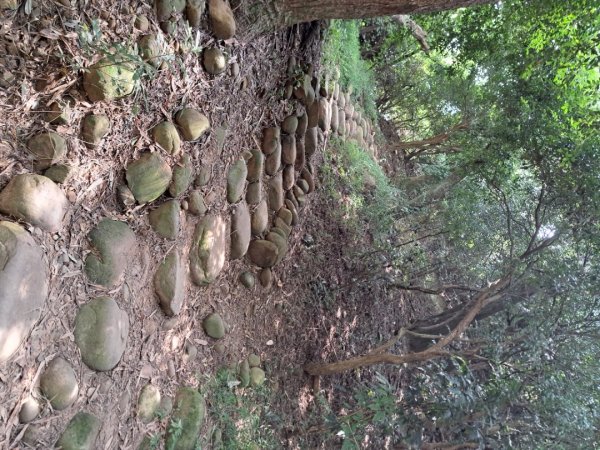 苗栗火炎山，南鞍古道O走3118384