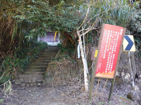 金柑樹山(小百岳#54)：留龍頭進、溪頭出1504773