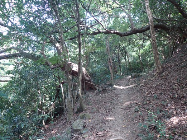 步道巡訪員 l 浸水營前段步道10月巡訪日誌1146833