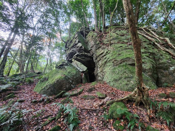 20260118騰龍山加里山O型2997506