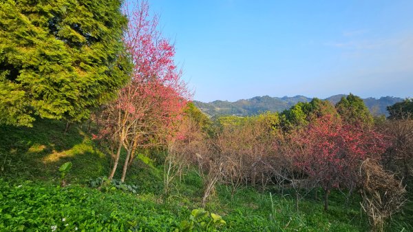 出關古道：十份崠段2700630