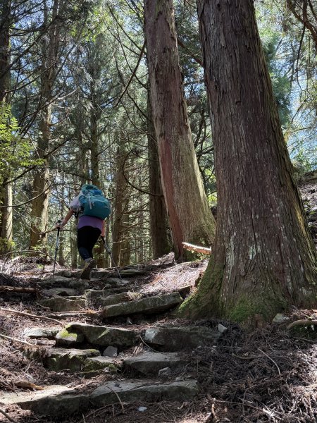 馬崙山 202509062889338