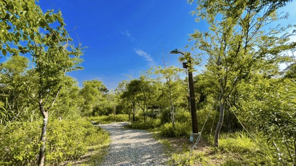 大湳森林公園2817308