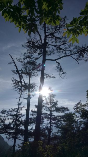 挑戰不可能的任務「羅馬縱走」349560